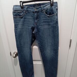Lucky Brand Size 8 Sienna Slim Boyfriend Classic Straight Leg Denim Blue Jeans